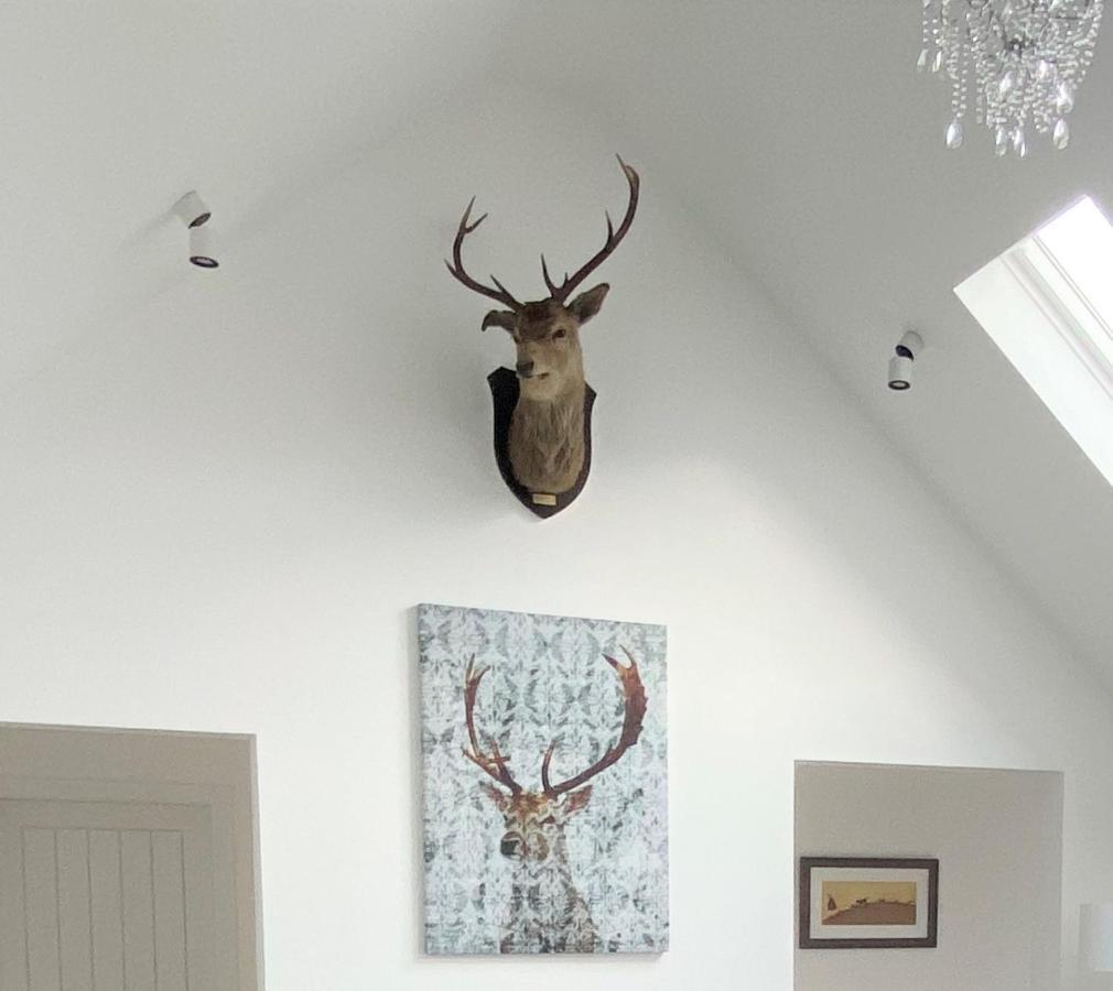 Ben Nevis Scotland Highlands, Camden House Luxury Home فورت ويليام المظهر الخارجي الصورة